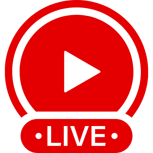 Swann Cameras | Live Webcam Shows & Interactive Adult Entertainment